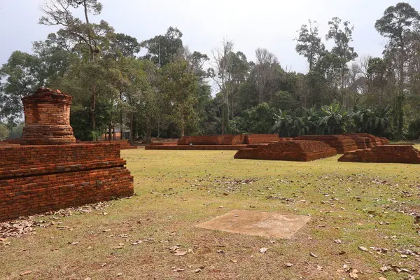 Muara Jambi Tapınağı eski bir Budist tapınağıdır ve Endonezya 'nın Jambi eyaletindeki miraslardan biridir.