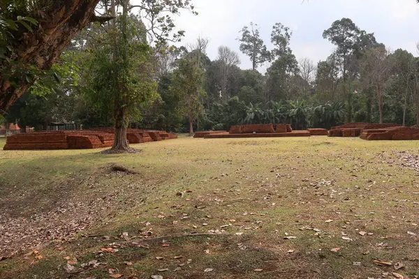 Muara Jambi Tapınağı eski bir Budist tapınağıdır ve Endonezya 'nın Jambi eyaletindeki miraslardan biridir.
