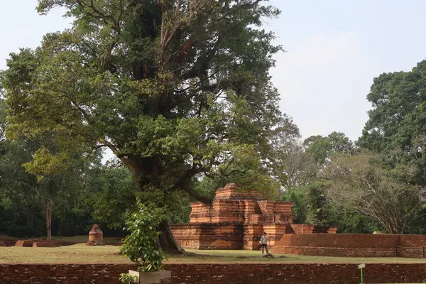 Muara Jambi Tapınağı eski bir Budist tapınağıdır ve Endonezya 'nın Jambi eyaletindeki miraslardan biridir.