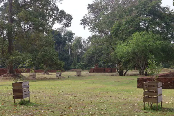 Muara Jambi Tapınağı eski bir Budist tapınağıdır ve Endonezya 'nın Jambi eyaletindeki miraslardan biridir.