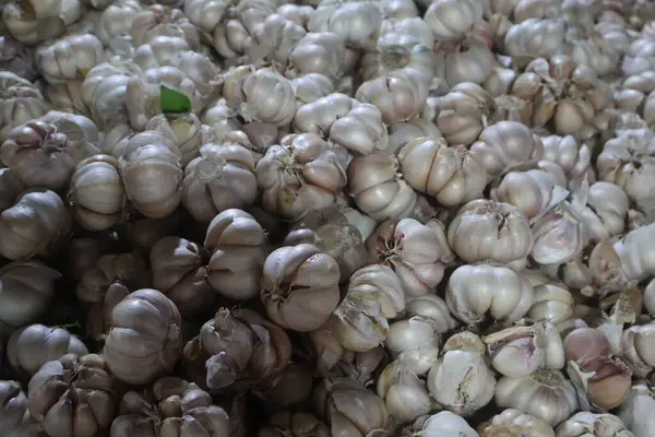 Çiftlikteki taze organik sarımsağı kapatın..