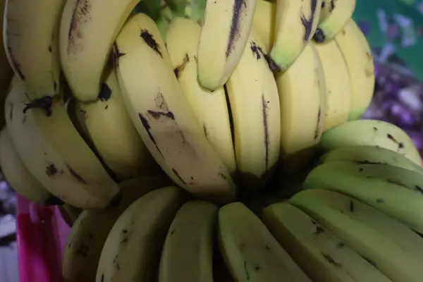 muz muz ağacı üzerinde