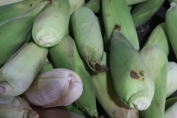 Piyasada taze organik yeşil mısır