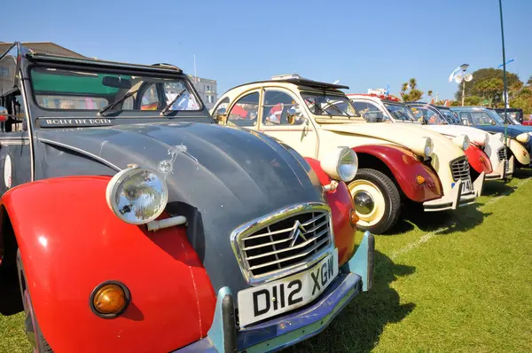 Bir grup Citroen 2CV arabası. Çeşitli modeller ve yıllar.