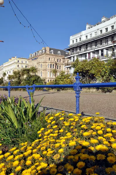 Eastbourne sahil şeridi, sarı çiçekler ve mavi korkuluklar. Arka planda oteller ve mavi gökyüzü