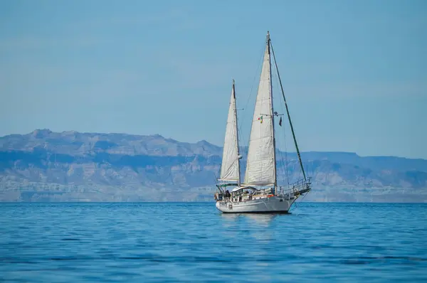 Velero por el Golfo Mar de Cortes, acuario mas grande del mundo. Jacques Costeau