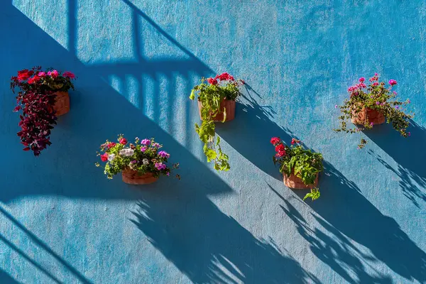 Sombras barrio Atlixco, Puebla. 