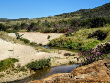 Güneşli bir günde, verimli bitki örtüsü ve renkli çiçeklerle çevrili, kumlu topraklarda yavaşça akan, huzurlu ve güzel bir dere manzarası. Arka plandaki tepeler parlak bir palet oluşturan zengin yapraklar ve mor çiçeklerle kaplıdır. 