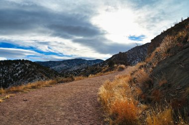 Altından parlayan otlarla kaplı dolambaçlı bir dağ yolu..