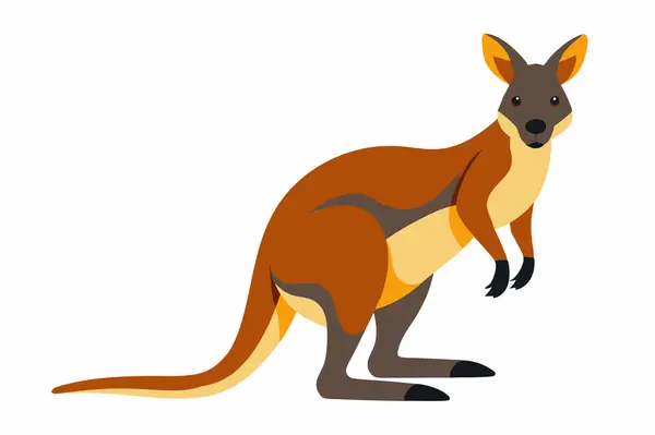 Stock image This detailed vector illustration features a charming wallaby, perfect for use in wildlife designs, nature-themed projects, educational materials, and animal artwork.