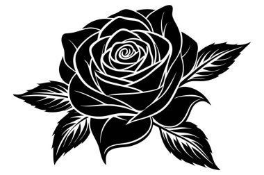 Bu çarpıcı gül vektör çizimi, çiçek açan bir çiçeğin güzelliğini ve zarafetini yakalar, grafik tasarımı, baskısı veya dijital projelerde kullanmak için mükemmeldir..