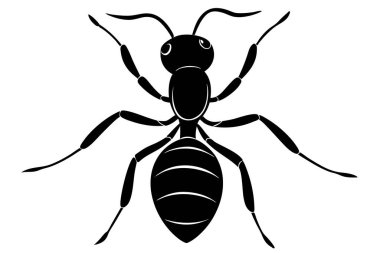 Karıncaların inanılmaz dünyasını gösteren detaylı bir vektör çizimi koleksiyonu. Bu çalışkan böcekler çeşitli faaliyetlerde tasvir edilir, güçlerini, takım çalışmalarını ve karmaşık sosyal yapılarını vurgularlar..