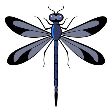 İçinde yusufçuklarla karıştırılan narin ve zarif böceklerin bulunduğu zarif vektör illüstrasyonları. Bu karmaşık tasarımlar karmaşık kanatlarını, ince vücutlarını ve canlı renklerini gözler önüne seriyor.,