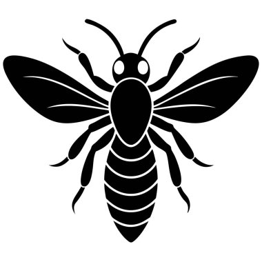 Eşek arılarının karmaşık mimarisini ve sosyal davranışlarını gösteren ayrıntılı bir vektör çizimi koleksiyonu. Bu büyüleyici böcekler yuvalarında besin arayarak ya da başka aktivitelerle meşgul olarak tasvir edilirler., 