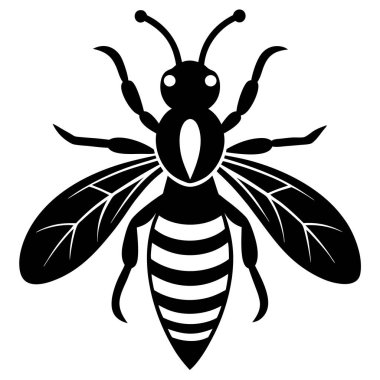 Eşek arılarının karmaşık mimarisini ve sosyal davranışlarını gösteren ayrıntılı bir vektör çizimi koleksiyonu. Bu büyüleyici böcekler yuvalarında besin arayarak ya da başka aktivitelerle meşgul olarak tasvir edilirler., 