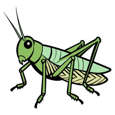 Çekirgelerin inanılmaz çevikliğini ve güzelliğini gösteren canlı vektör çizimlerinden oluşan bir derleme. Bu ikonik böcekler çeşitli pozlarda ve ortamlarda tasvir edilir. Güçlü sıçramalarını ve ayırt edici özelliklerini vurgularlar..