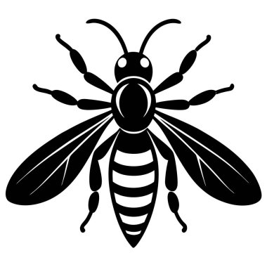 Eşek arılarının karmaşık mimarisini ve sosyal davranışlarını gösteren ayrıntılı bir vektör çizimi koleksiyonu. Bu büyüleyici böcekler yuvalarında besin arayarak ya da başka aktivitelerle meşgul olarak tasvir edilirler., 