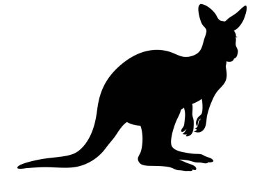 Avustralya 'nın ikonik keseli kangurularının yer aldığı dinamik vektör çizimleri koleksiyonu. Bu güçlü hayvanlar çeşitli pozlarda tasvir edilir, inanılmaz atlama yeteneklerini ve benzersiz özelliklerini sergilerler..