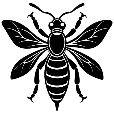 Arıların korkunç doğasını gösteren detaylı vektör çizimleri koleksiyonu. Acı veren iğneleriyle bilinen böcekler. Bu çizimler, yaşam döngülerinin çeşitli evrelerinde, yuvalarında ve agresif davranışlarında eşekarılarını tasvir eder.. 