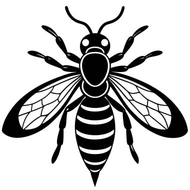 Arıların korkunç doğasını gösteren detaylı vektör çizimleri koleksiyonu. Acı veren iğneleriyle bilinen böcekler. Bu çizimler, yaşam döngülerinin çeşitli evrelerinde, yuvalarında ve agresif davranışlarında eşekarılarını tasvir eder.. 