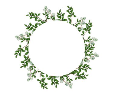 Yeşil yapraklı çelenk ve beyaz arka planda okaliptüs. Logo, tasarım, dekorasyon için çerçeve 