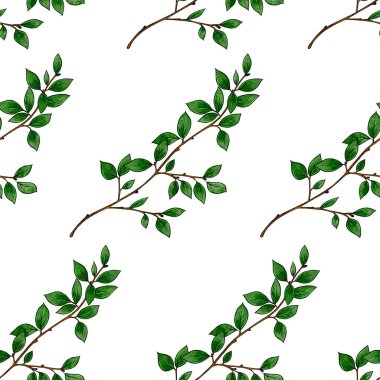 Yeşil yapraklı kusursuz desenli bir şube, beyaz arka planda kronometre. Tasarım, dekorasyon, duvar kağıdı, baskı, tipografi, tekstil, kumaş için suluboya çizimi