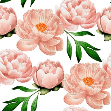 Kusursuz desenli bej, pembe şakayıklar, çiçekçiler için beyaz arka planda suluboya çizimler, ev kokuları. Duvar kağıdı, baskı, tipografi, tekstil, kumaş için narin çiçekler