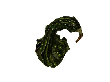 Koyu yeşil mini dekoratif balkabağı, beyaz arka planda suluboya çizimi. Sonbahar hasadı, Cadılar Bayramı için dekor. Tipografi ve tekstil için tasarım 