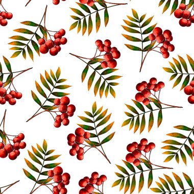 Kusursuz horoz deseni. Beyaz arkaplanda suluboya çizimi. Baskı, tekstil, tabak, duvar kağıdı için.