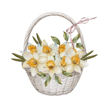 Sarı nergis, narsist ve fiyonklu hafif sepet. Yüksek kalite çizim. Paskalya için dekorasyon, tatil için dekorasyon. Kadınlar ve büyükanneler için tebrikler. Doğum günü hediyesi, yıldönümü
