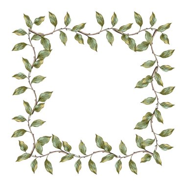 Kare, dikdörtgen dallar ve beyaz arkaplanda yeşil yapraklar. Kartvizitler, etiketler, davetiyeler, logolar için suluboya resimleme. Bahar dekorasyonu ve tasarımı