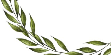 Pankart, kartpostal, üzerinde yeşil yapraklar olan Watercolor Branch çerçevesi. Tebrik kartları için resim, düğün davetiyeleri. Doğum günü süslemeleri, yıldönümleri, Paskalya için tasarım 