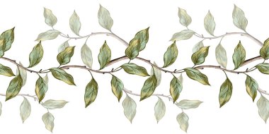 Birbirine dolanmış dallarda narin yeşil yapraklar bulunan kusursuz bir suluboya çizimi. Doğadan esinlenilmiş tasarımlar, tekstil, tebrik kartları, ambalaj ve mevsimlik dekorlar için mükemmel..