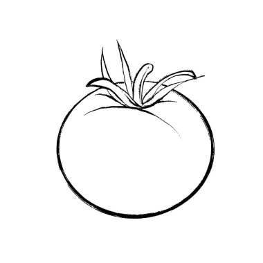 Çizim tarzında bir domatesin vektör çizgisi çizimi. Tasarım, ambalaj, baskı ve aşçılık projeleri için elverişli.