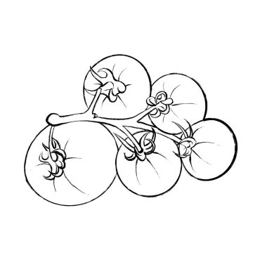 Black and white vector line drawing of a tomato branch. Suitable for culinary projects, packaging, logos, restaurant design, menus, and farm products. clipart