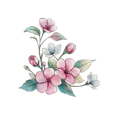 Yapraklı pembe ve mavi çiçeklerin suluboya çizimi. Bahar çiçeklerini sembolize eden zarif botanik sanat eserleri, kartlar, dekorlar ve tekstil tasarımları için mükemmel..