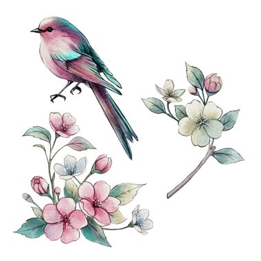 Canlı bir kuş ve çiçek açan dallardan oluşan suluboya çizimler. Kartlar, baskılar, tekstil ve dekorasyon için mükemmel bir bahar temalı botanik kompozisyonu..