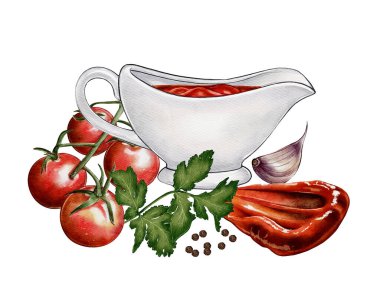Sosu soslu domates sosunun suluboya çizimi. Kiraz domatesli, kurutulmuş domatesli, otlu, sarımsaklı ve biberli. Tarifler, menüler, ambalajlar ve reklamlar için uygun.