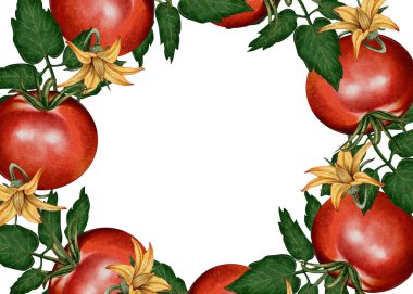 Domatesli, yapraklı ve çiçekli suluboya çerçeve. Menüler, ambalajlar, logolar, davetiyeler, yemek kitapları ve sosyal medya paylaşımları için ideal. Doğal ve eko-stil.