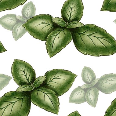 Yeşil fesleğen yapraklı, dikişsiz suluboya desen. Tekstil, ambalaj, arka plan, duvar kağıtları, hatıra defteri ve yemek pişirme arzusu için mükemmel.