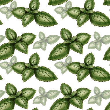 Yeşil fesleğen yapraklı, dikişsiz suluboya desen. Tekstil, ambalaj, arka plan, duvar kağıtları, hatıra defteri ve yemek pişirme arzusu için mükemmel.