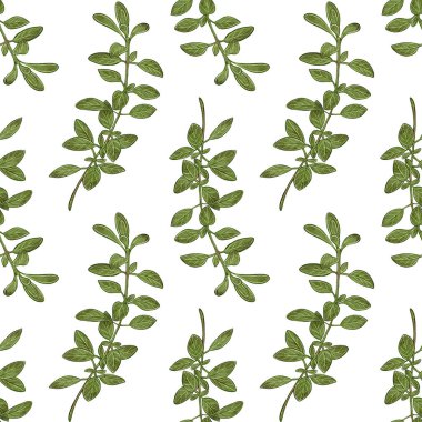 Kurabiye yapraklı sulu boya deseni. Doğal botanik tarzı. Paketleme, tekstil, duvar kağıtları, menüler ve mutfak tasarımı için elverişli.