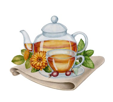 Cam çaydanlık ve fincanda bitki çayı keten peçeteye yerleştirilmiş suluboya resim takvimi, gül kalemi ve yeşil yapraklar. Cay markasi, menü tasarimi ve dogal ürün ambalaji icin clipart.