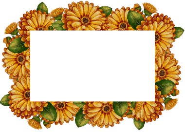 Yeşil yapraklı dikdörtgen çiçek çerçevesinin suluboya çizimi. Beyaz arka plan. Davetiyeler, ekolojik ambalajlar, bitkisel kozmetikler, tebrik kartları için mükemmel..