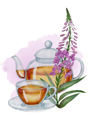 Cam çaydanlık ve bir fincan bitki çayı, bir dal ateş otu, suluboya. Sağlığa iyi gelen doğal içecek. Paketleme, kartpostallar, menü tasarımı, posterler ve arkaplan kompozisyonları için resim