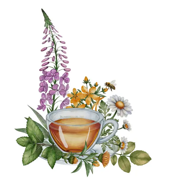 Papatya çayı, nane, ateş otu, St. Johns otu ve arı karışımı bitkisel çayın suluboya çizimi. Beyaz arka plan. Çay paketleme, ürün etiketleri, yemek kitapları ve eko tasarım için.