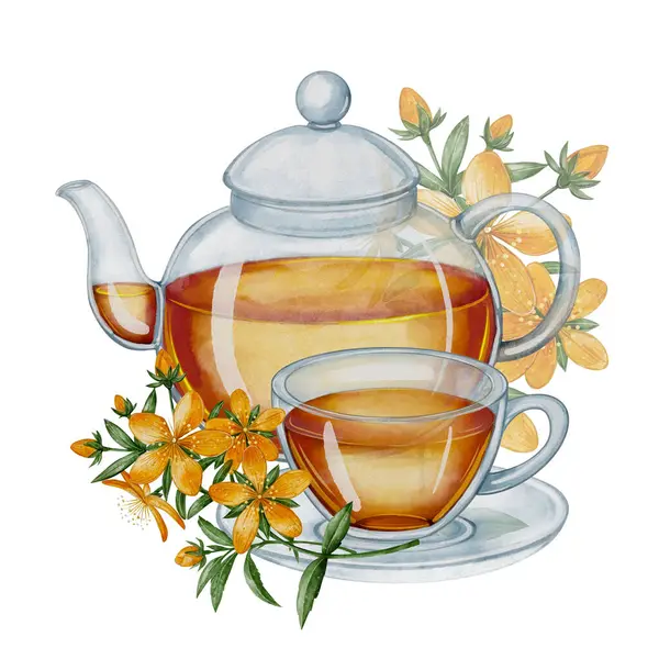 Bir bardak çaydanlığın suluboya resmi ve St. Johns Wort çiçekleriyle süslenmiş bir fincan güzel kokulu çay. İllüstrasyon çay paketleme, menüler, kartpostallar, yemek kitapları, doğal ürünler için uygundur.