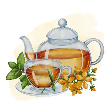  St. Johns bitki çayı seti, cam çaydanlık, bardak ve çiçekler, suluboya resimleme, yemek kitabı, menü, doğal ürün ambalajı ve çay dükkanının markalaşması için organik iyileştirme içeceği.