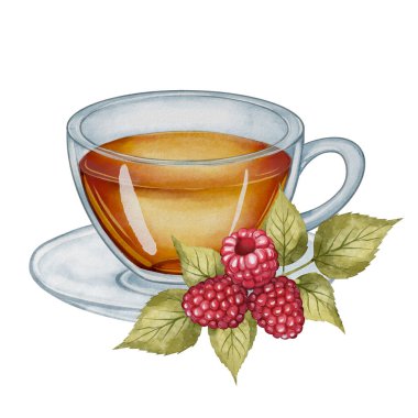 Böğürtlenli cam çay fincanı, beyaz arka planda suluboya resim. Çay paketleri, yemek tarifleri, kafe menüleri, mutfak dekorasyonu, markalaşma, hediye etiketleri, Uluslararası Çay Günü, Sevgililer Günü