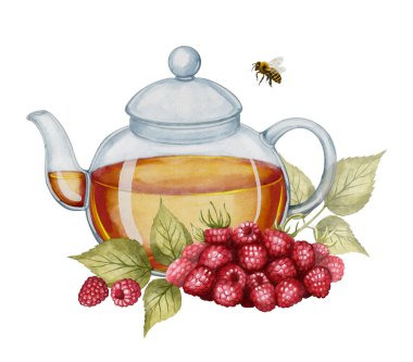 Çaydanlık, bitki çayı, olgun ahududu, yaprak ve arı. Suluboya çizim, çay ambalajı, bitkisel ürün etiketleri, mutfak dekorasyonu ve yiyecekle ilgili tasarım için ideal..